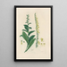 Digitalium monographia Pl21 - John Lindley — framed artwork on a wall