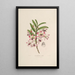 Sertum orchidaceum A crown of the most beautiful orchid flowers Pl03 - John Lindley — framed artwork on a wall