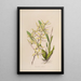Sertum orchidaceum A crown of the most beautiful orchid flowers Pl07 - John Lindley — framed artwork on a wall