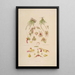Sertum orchidaceum A crown of the most beautiful orchid flowers Pl08 - John Lindley — framed artwork on a wall