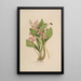 Sertum orchidaceum A crown of the most beautiful orchid flowers Pl09 - John Lindley — framed artwork on a wall