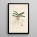 Sertum orchidaceum A crown of the most beautiful orchid flowers Pl17 - John Lindley — framed artwork on a wall