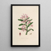 Sertum orchidaceum A crown of the most beautiful orchid flowers Pl18 - John Lindley — framed artwork on a wall