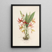 Sertum orchidaceum A crown of the most beautiful orchid flowers Pl23 - John Lindley — framed artwork on a wall