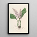 Sertum orchidaceum A crown of the most beautiful orchid flowers Pl24 - John Lindley — framed artwork on a wall