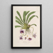 Sertum orchidaceum A crown of the most beautiful orchid flowers Pl26 - John Lindley — framed artwork on a wall
