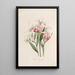 Sertum orchidaceum A crown of the most beautiful orchid flowers Pl29 - John Lindley — framed artwork on a wall