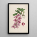 Sertum orchidaceum A crown of the most beautiful orchid flowers Pl35 - John Lindley — framed artwork on a wall