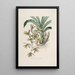 Sertum orchidaceum A crown of the most beautiful orchid flowers Pl38 - John Lindley — framed artwork on a wall