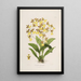 Sertum orchidaceum A crown of the most beautiful orchid flowers Pl39 - John Lindley — framed artwork on a wall