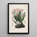 Sertum orchidaceum A crown of the most beautiful orchid flowers Pl40 - John Lindley — framed artwork on a wall