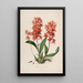Sertum orchidaceum A crown of the most beautiful orchid flowers Pl45 - John Lindley — framed artwork on a wall