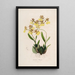 Sertum orchidaceum A crown of the most beautiful orchid flowers Pl48 - John Lindley — framed artwork on a wall