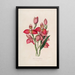 Sertum orchidaceum A crown of the most beautiful orchid flowers Pl49 - John Lindley — framed artwork on a wall