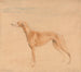The hunting dog Thomasine - John Linnell — artwork view