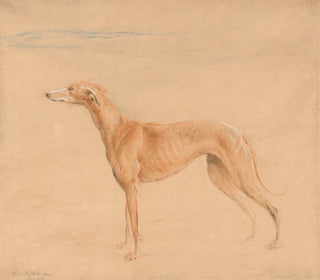 The hunting dog Thomasine - John Linnell — artwork view