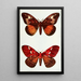 Night Butterflies Painting - John Merton Aldrich — framed artwork on a wall