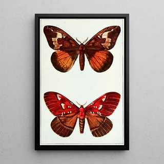 Night Butterflies Painting - John Merton Aldrich — framed artwork on a wall