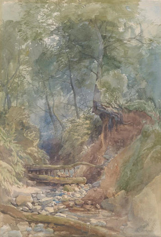 John Middleton - A Stream Near Clovelly North Devon.webp