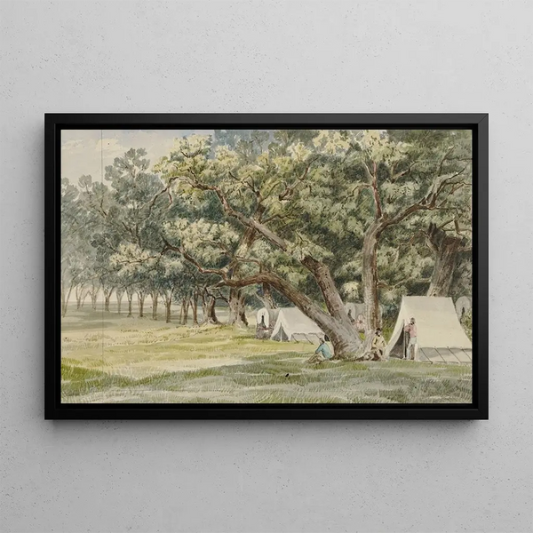 A grove of poplars - John Mix Stanley — framed artwork on a wall