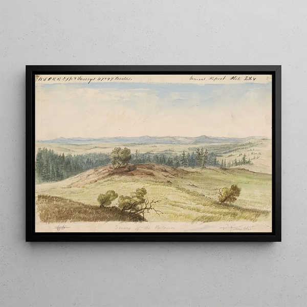 Source de la Péluse - John Mix Stanley — framed artwork on a wall