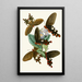 The Oriental Entomology Cabinet Pl I - John Obadiah Westwood — framed artwork on a wall