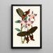 The Oriental Entomology Cabinet Part III - John Obadiah Westwood — framed artwork on a wall