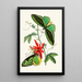 The Oriental Entomology Cabinet Pl XII - John Obadiah Westwood — framed artwork on a wall