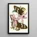 The Oriental Entomology Cabinet Pl XV - John Obadiah Westwood — framed artwork on a wall