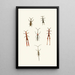 The Oriental Entomology Cabinet Pl XVI - John Obadiah Westwood — framed artwork on a wall