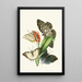 The Oriental Entomology Cabinet Pl XXVIII - John Obadiah Westwood — framed artwork on a wall