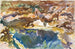 Man and Pool, Florida - John Singer Sargent — artwork view