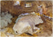 Bœufs - John Singer Sargent — artwork view