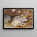 Bœufs - John Singer Sargent — framed artwork on a wall