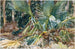 Palm Trees Painting - John Singer Sargent — artwork view