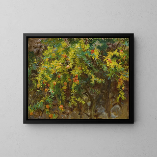 Mallorca Grenades - John Singer Sargent — framed artwork on a wall