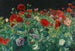 Poppies - John Singer Sargent — artwork view