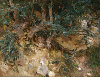 Chardons et herbes sur une colline à Valldemossa, Majorque - John Singer Sargent — artwork view