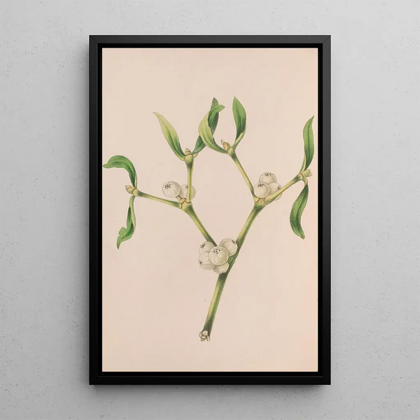 Christmas Rose Painting - John Stevens Henslow — framed artwork on a wall