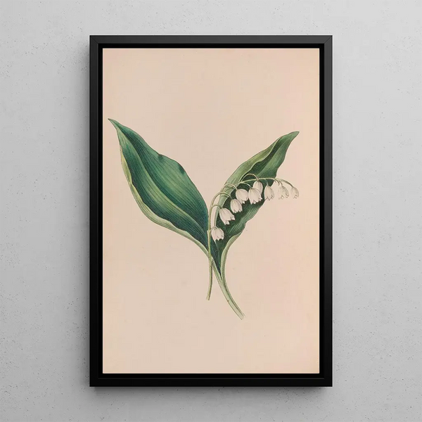 Myosotis - John Stevens Henslow — framed artwork on a wall