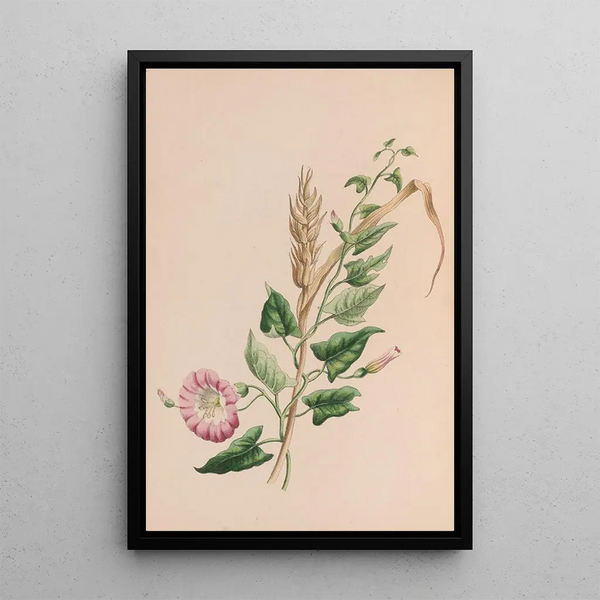 Geranium Painting - John Stevens Henslow — framed artwork on a wall
