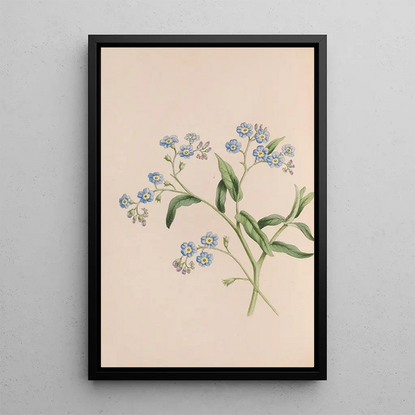 Herb Painting - John Stevens Henslow — framed artwork on a wall