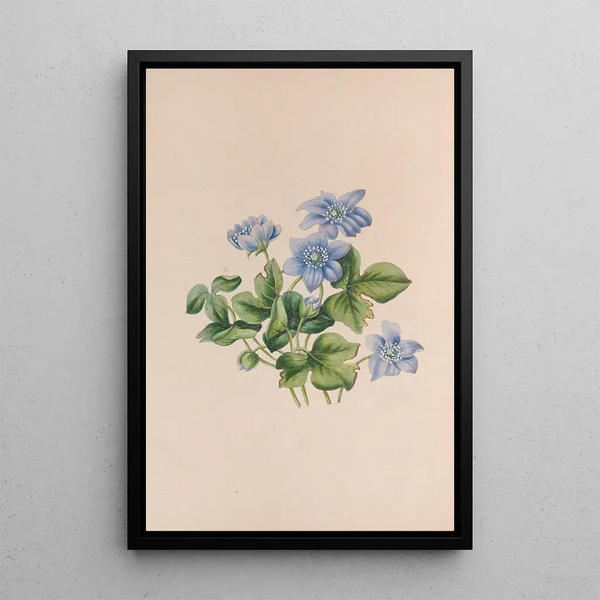 Hepatic Painting - John Stevens Henslow — framed artwork on a wall