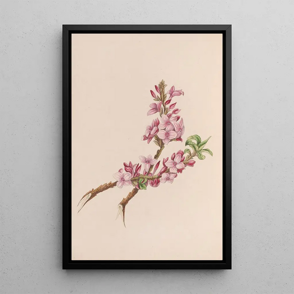 Wood Jolly Painting - John Stevens Henslow — framed artwork on a wall