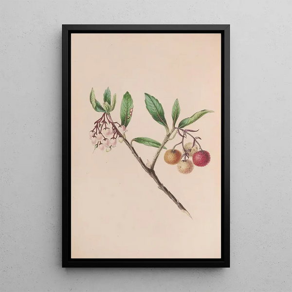 If - John Stevens Henslow — framed artwork on a wall