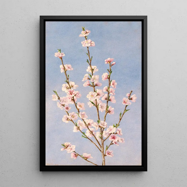 Peach Blossom - John William Hill — framed artwork on a wall