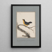 original drawings in watercolor of birds and eggs Pl15 - John William Lewin — framed artwork on a wall