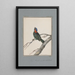 original watercolor drawings of birds and eggs Pl18 - John William Lewin — framed artwork on a wall