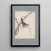 original watercolor drawings of birds and eggs Pl22 - John William Lewin — framed artwork on a wall
