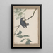 original watercolor drawings of birds and eggs Pl38 - John William Lewin — framed artwork on a wall